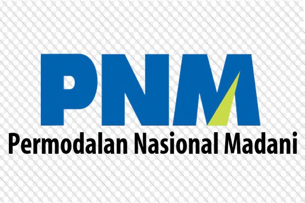 PNM Logo